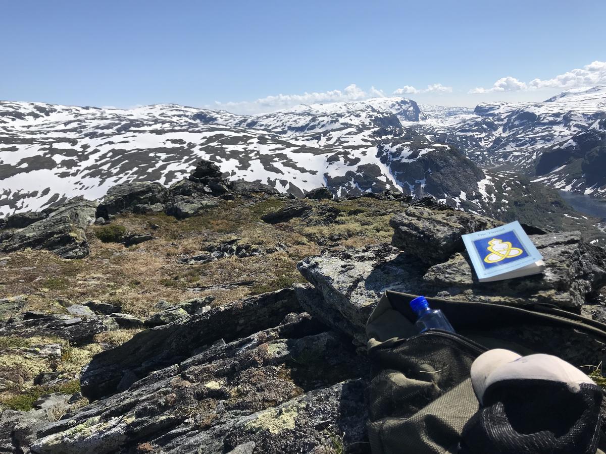 Voss Mountain Lodge Mjolfjell Екстериор снимка