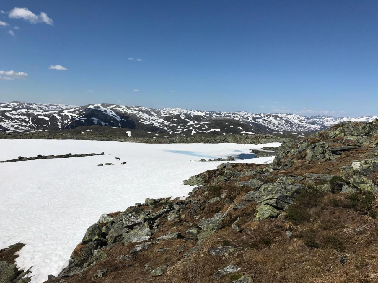 Voss Mountain Lodge Mjolfjell Екстериор снимка